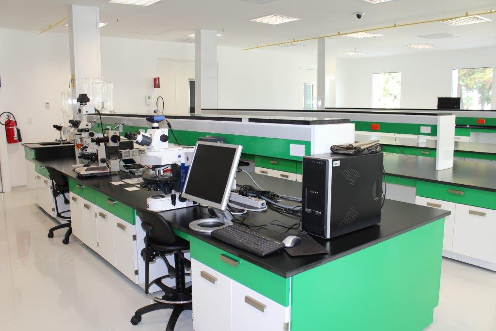 Área de reporteo y documentación