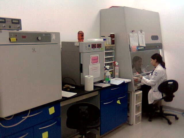 Campana de bioseguridad para laboratorio