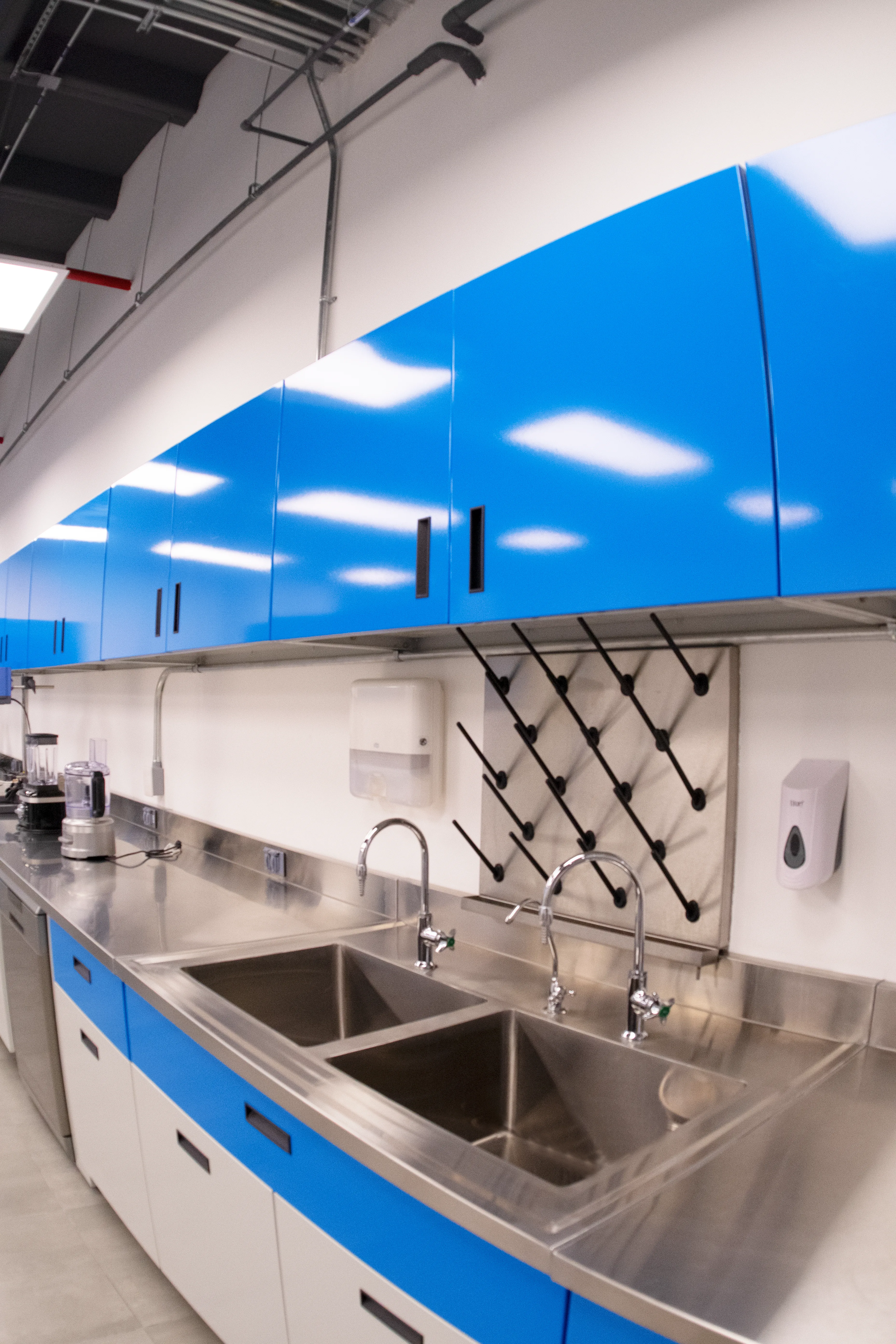 Zona 7 de lavado: tarja de acero inoxidable y estación de limpieza en laboratorio